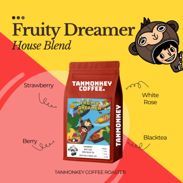 Fruity Dreamer เมล็ดกาแฟคั่ว Ethiopia Thai Costa Rica คั่วอ่อนกลาง