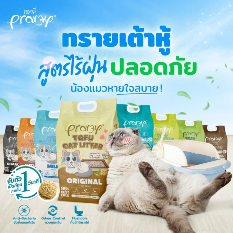 Pramy ทรายแมวเต้าหู้ สูตรไร้ฝุ่น จากใยถั่วเหลืองธรรมชาติ