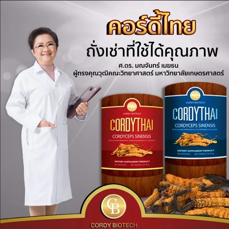 ถั่งเช่าคอร์ดี้ไทย ถั่งเช่าม.เกษตร