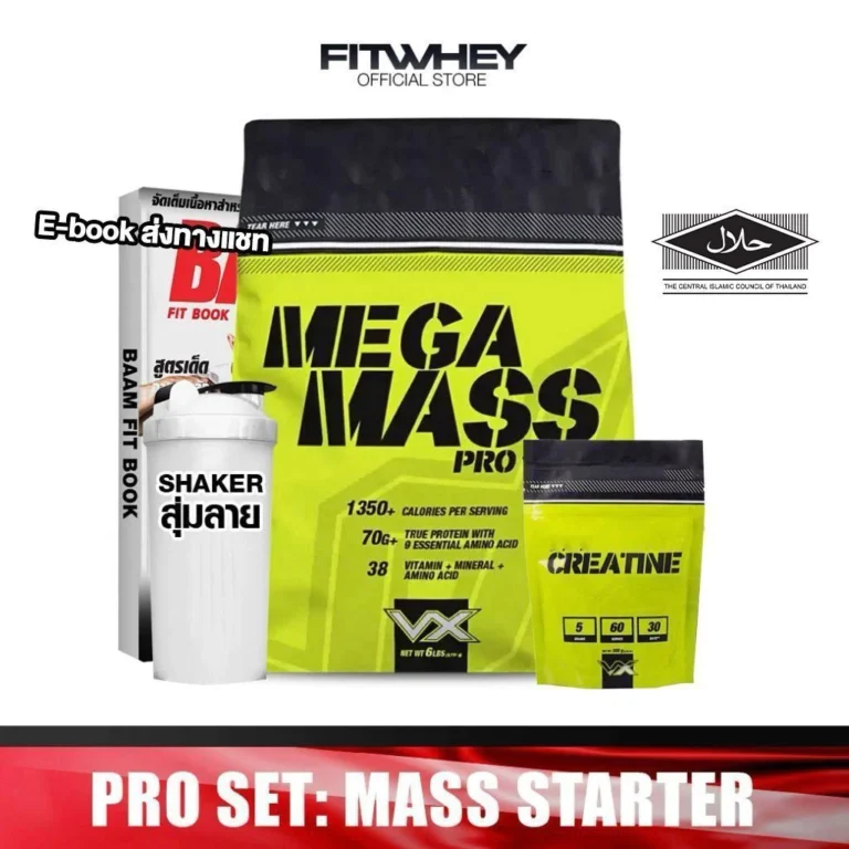 VITAXTRONG MASS STARTER WHEY PROTEIN (6 LB)